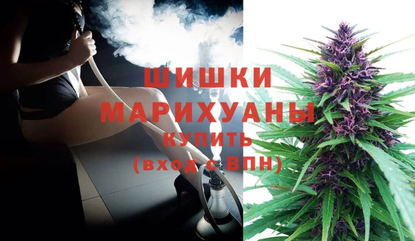 СК Аркадак