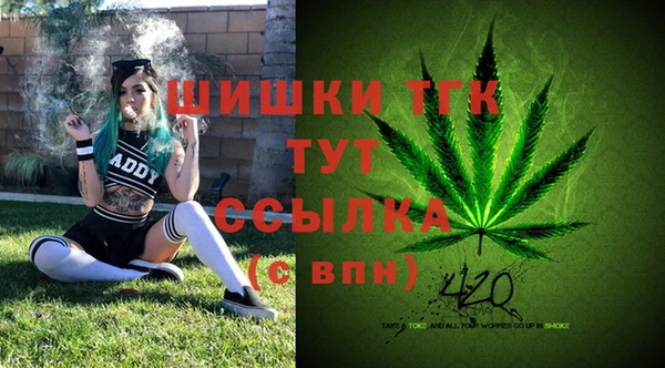 СК Аркадак