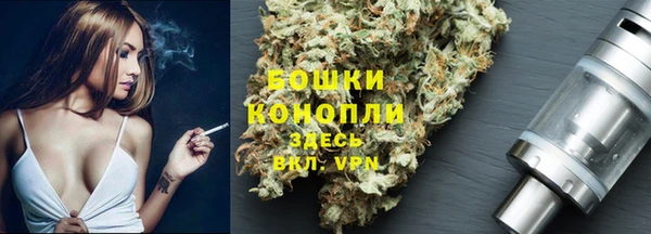 Альфа ПВП Магас