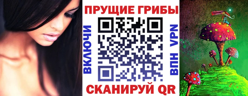 Псилоцибиновые грибы Psilocybine cubensis Орехово-Зуево
